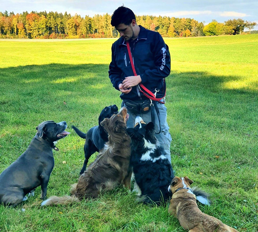 Heute mit Tyson und 4 anderen Hunden